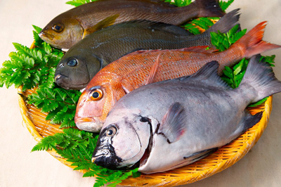 長崎 県 漁 連 鮮魚 ボックス