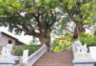 〈山王神社vol.2〉修学旅行で自慢できる! 山王神社“もう一歩”踏み込んだおはなし。