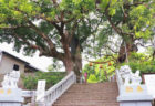 〈山王神社vol.4〉観光拠点のもうひとつの醍醐味! 山王神社まわりの“立ち寄り推奨”なおはなし。