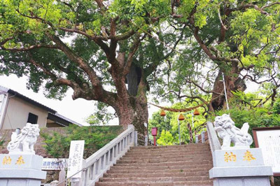 〈山王神社vol.3〉思わずパシャリ!としたくなる 山王神社“旅好き女子必見”なおはなし。