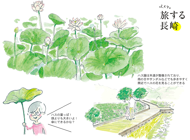 第27回 「花菖蒲が彩る、城下町・大村をぶらり。」