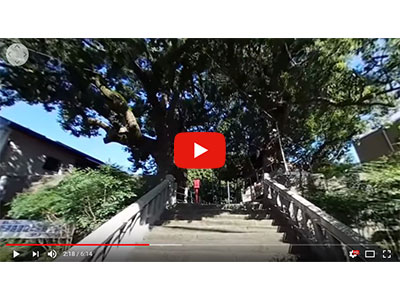 生命力を感じるパワースポット山王神社