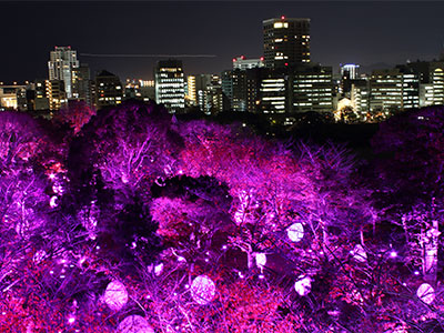 「福岡城 チームラボ 城跡の光の祭」の内覧会