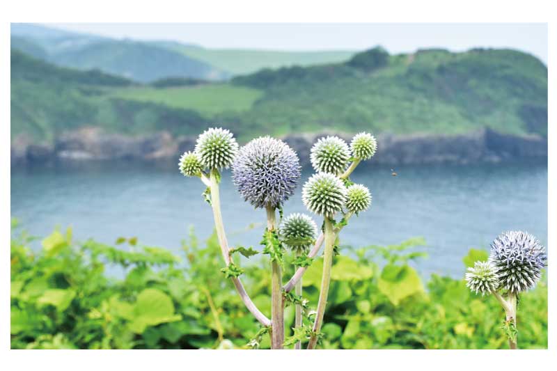 日本で最後に造られた城・福江城（石田城）( 五島）