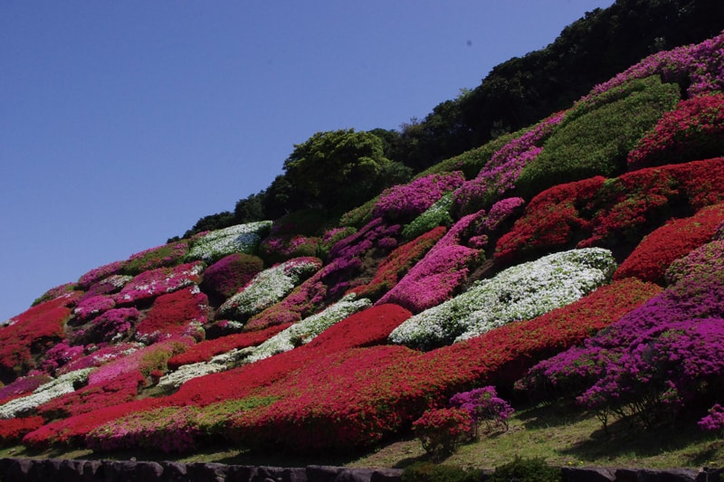 中尾城公園