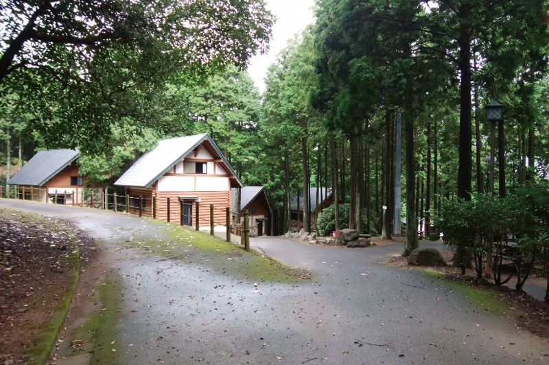 夏をおもいっきり満喫することができる<br>〈県民の森〉へGO!