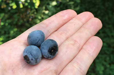 初夏を彩る地上の花火（小値賀）