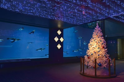 ～12/25（火）水族館のハッピークリスマス