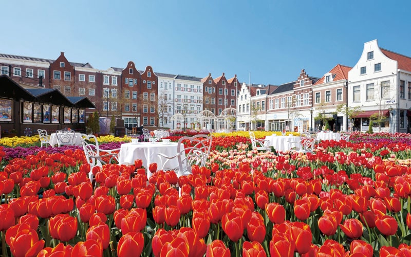 観光 イベント 100万本の大チューリップ祭 19 2 9 土 4 14 日 ながさきプレスwebマガジン 長崎のタウン情報誌公式サイト 観光 イベント 100万本の大チューリップ祭 19 2 9 土 4 14 日 ながさきプレスwebマガジン 長崎のタウン情報誌公式サイト