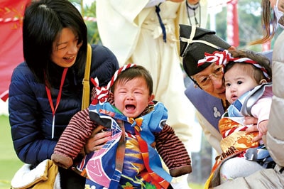 平成31年 子泣き相撲　2019/2/3 (日)　