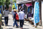 第10回 松島桜坂まつり　2019/3/30（土）～3/31（日）