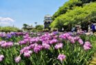 〈新上五島町〉「島で生きる。海と暮らす。」 2022/9/17(土)～10/9(日)  9:00～17:00