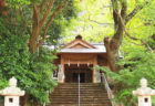 〈山王神社vol.2〉修学旅行で自慢できる! 山王神社“もう一歩”踏み込んだおはなし。