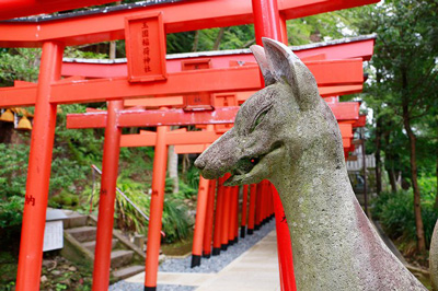 〈諏訪神社vol.4〉観光拠点のもうひとつの醍醐味! 諏訪神社周辺“立ち寄り推奨”なおはなし。