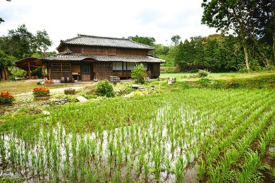 田島
