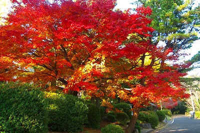 野岳湖公園