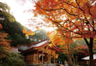 英彦山高住神社