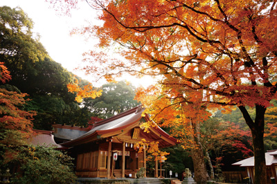 宝満宮竈門神社