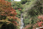 宝満宮竈門神社