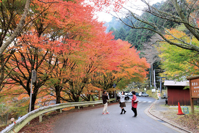 英彦山高住神社