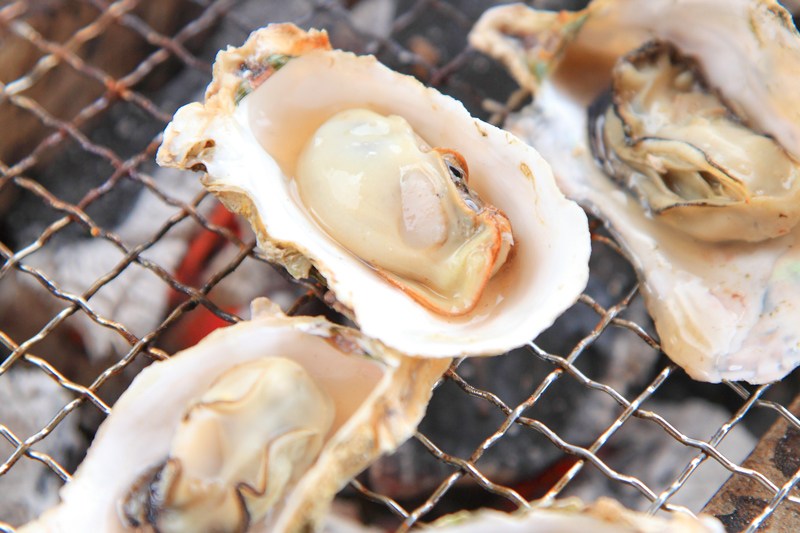 長崎県の養殖カキ