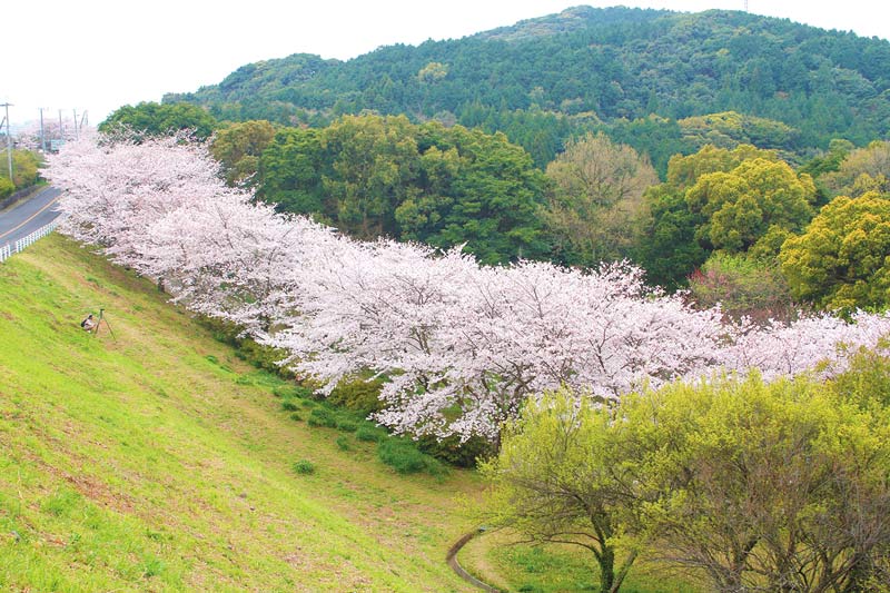 長崎県佐世保市野崎町2682