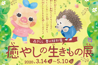 【臨時休業】森きらら 春の特別展「癒やしの生きもの展」2020/3/14（土）～5/10（日）