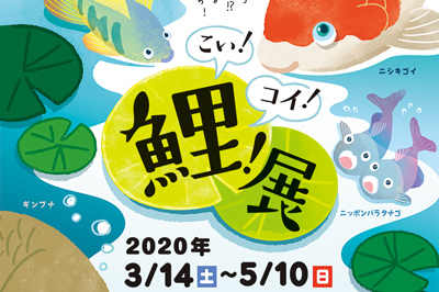 【臨時休業】海きらら 春の特別展「こい！コイ！鯉！展」2020/3/14（土）～5/10（日）