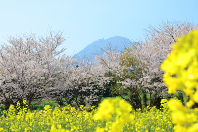 長崎県島原市有明町湯江乙2524-607