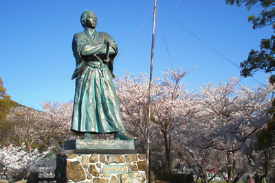 桜　お花見　お花見スポット　風頭公園　長崎県長崎市伊良林3丁目510-6