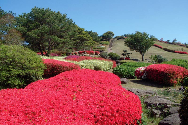 冷水岳公園　長崎県のつつじ　観光スポット　長崎県佐世保市小佐々町矢岳1618-12