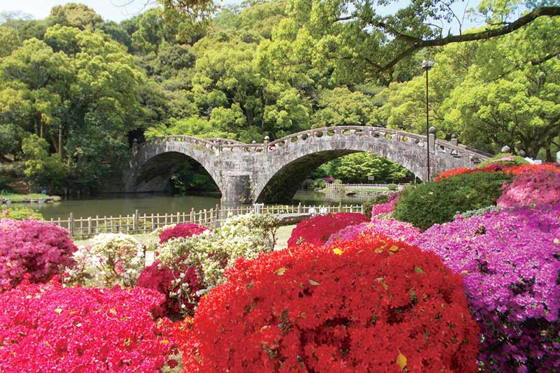 諫早公園　長崎県のつつじ　観光スポット　長崎県諫早市高城町772