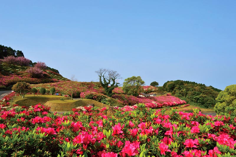 長串山公園　長崎県のつつじ　観光スポット　長崎県佐世保市鹿町町長串174-12