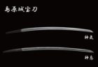 〈島原城〉城キャン一泊Special Plan