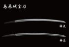 〈島原城〉謎解きお城ゲーム「キャッスルモンスター」　2020/7/25(土)・8/9(日)・10/17(土)・11/22(日)・3/20(土・祝)