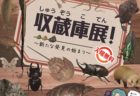 〈福岡県〉フルトリエ中村果樹園のフルーツ狩り 10月上旬頃まで