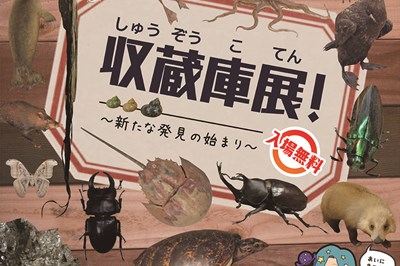 〈長崎市科学館〉夏の企画展 収蔵庫展！～新たな発見の始まり～ 2020/9/22（火・祝）まで