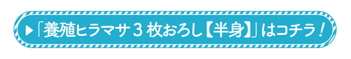 養殖ヒラマサ3枚おろし（半身）