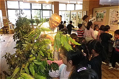 〈ながさき県民の森〉ドングリのひみつ展 2020/10/18（日）～11/3（火）