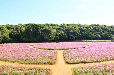 展海峰