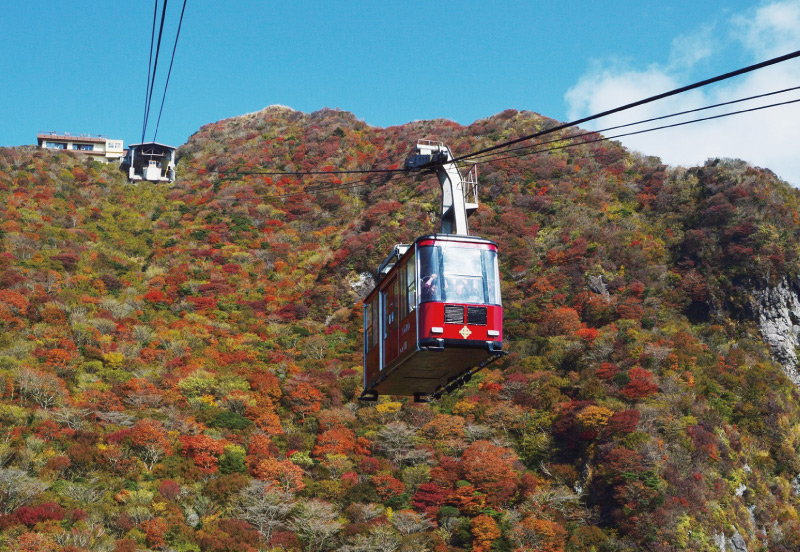 雲仙仁田峠の紅葉の様子