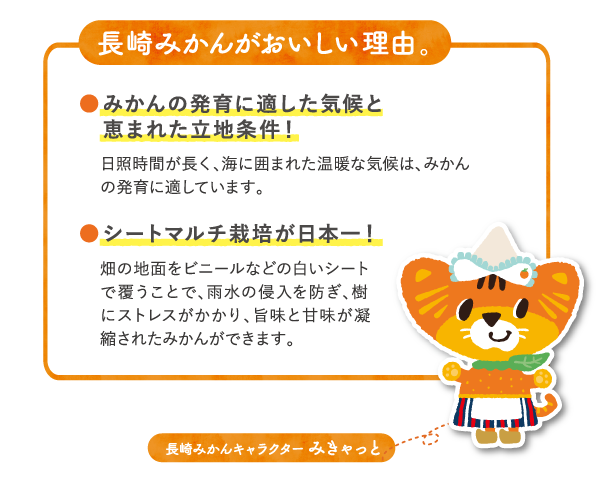 グルメ トピックス アサヒビール 長崎県jaグループ 長崎県産の 長崎みかんチューハイ が登場 ながさきプレスwebマガジン 長崎のタウン情報誌公式サイト