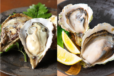 上五島の特産品ECサイトで、岩牡蠣と真牡蠣の「夢の食べ比べセット」が販売中！