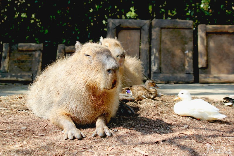 【リニューアル】佐世保中央公園