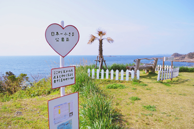 〈西海市Vol.3〉西海のオススメエリア②松島