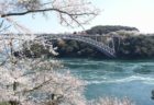 【大村市】大村公園
