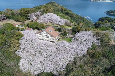 【西彼杵郡時津町】崎野自然公園