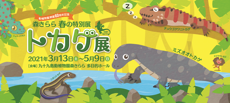 その他イベント 九十九島動植物園森きらら 森きらら春の特別展 トカゲ展 21 5 9 日 ながさきプレスwebマガジン 長崎 のタウン情報誌公式サイト