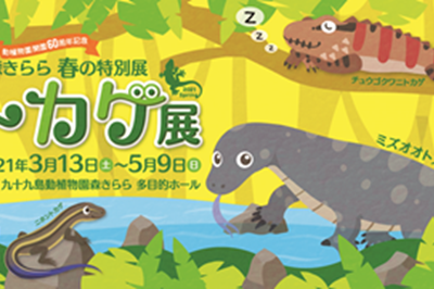 〈九十九島動植物園森きらら〉森きらら春の特別展「トカゲ展」　~2021/5/9（日）