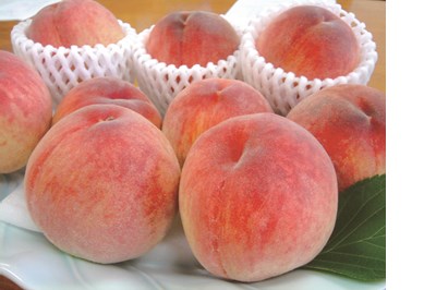 ハウスももの出荷は、今が最盛期! 長崎のおいしい桃を堪能しよう